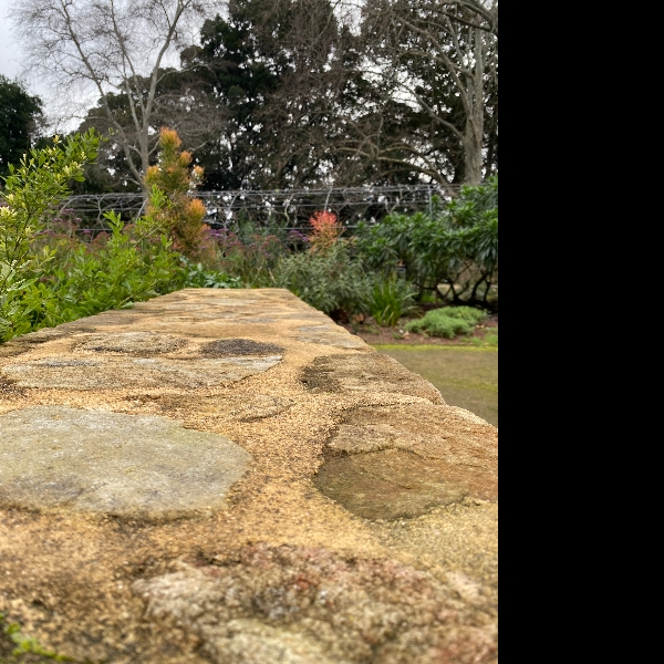 Botanical gardens