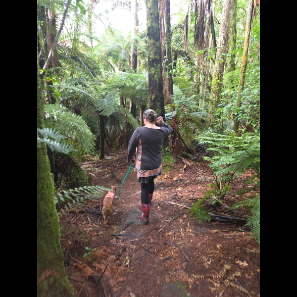 Life's good!! Sneaky early morning missions, a bellyfull of moo's afterbirths (mum wasn't too impressed) and bush walks.