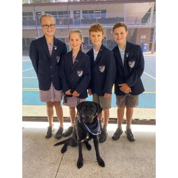 DOG School Captain