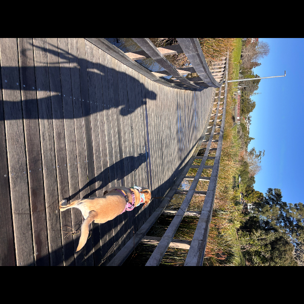 Day 2 Sherwood Reserve and Freyberg Park Loop