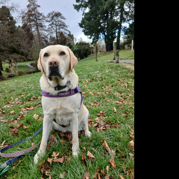 First day walk