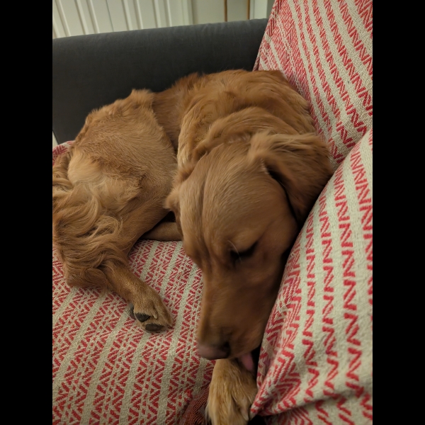 Recovering from his challenge