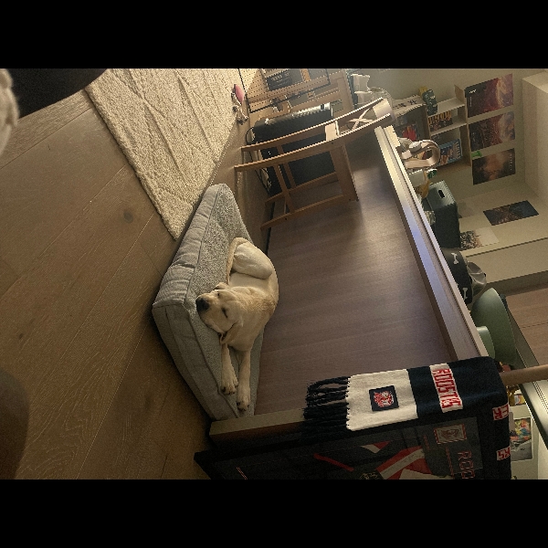 I can’t wait to walk 150 KMS