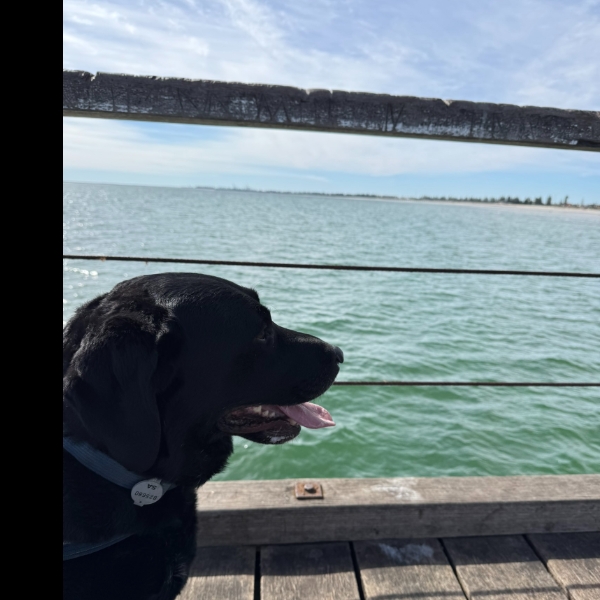 Walk 11 - Went to see Dads office and a walk down the jetty.