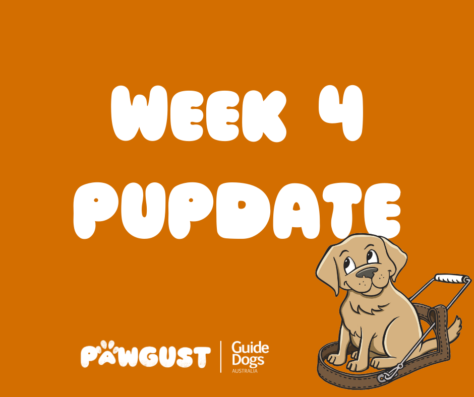 Week 4 PUPDATE