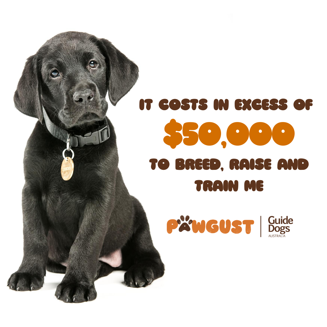 Cost of a Guide Dog