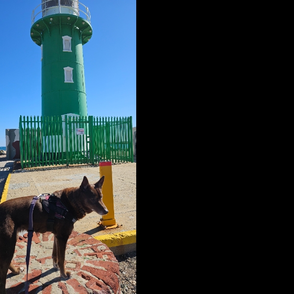 Exploring Fremantle