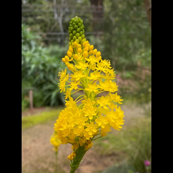 Botanical Gardens