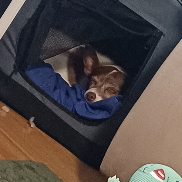 Post Big Walk