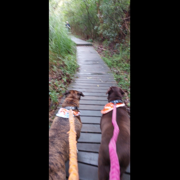 1st walk 5km