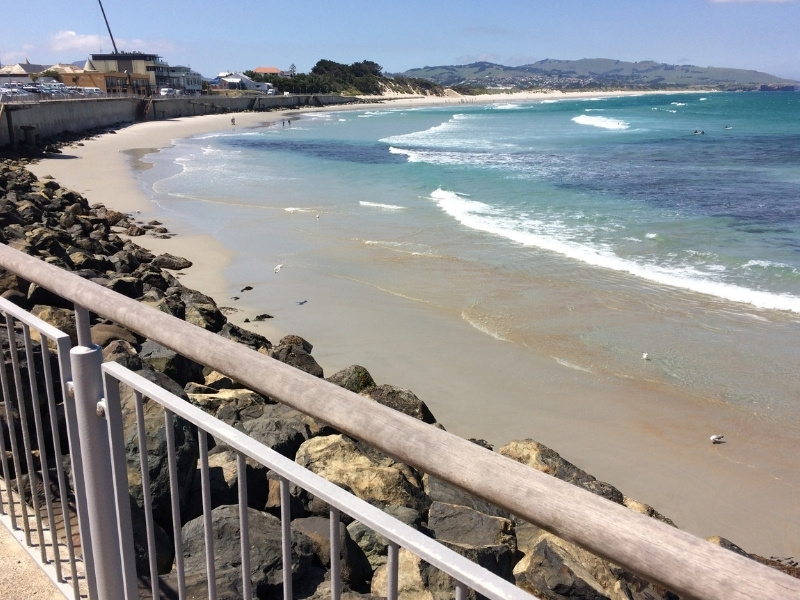 An image of St Clair Beach, Dundedin on a sunny day