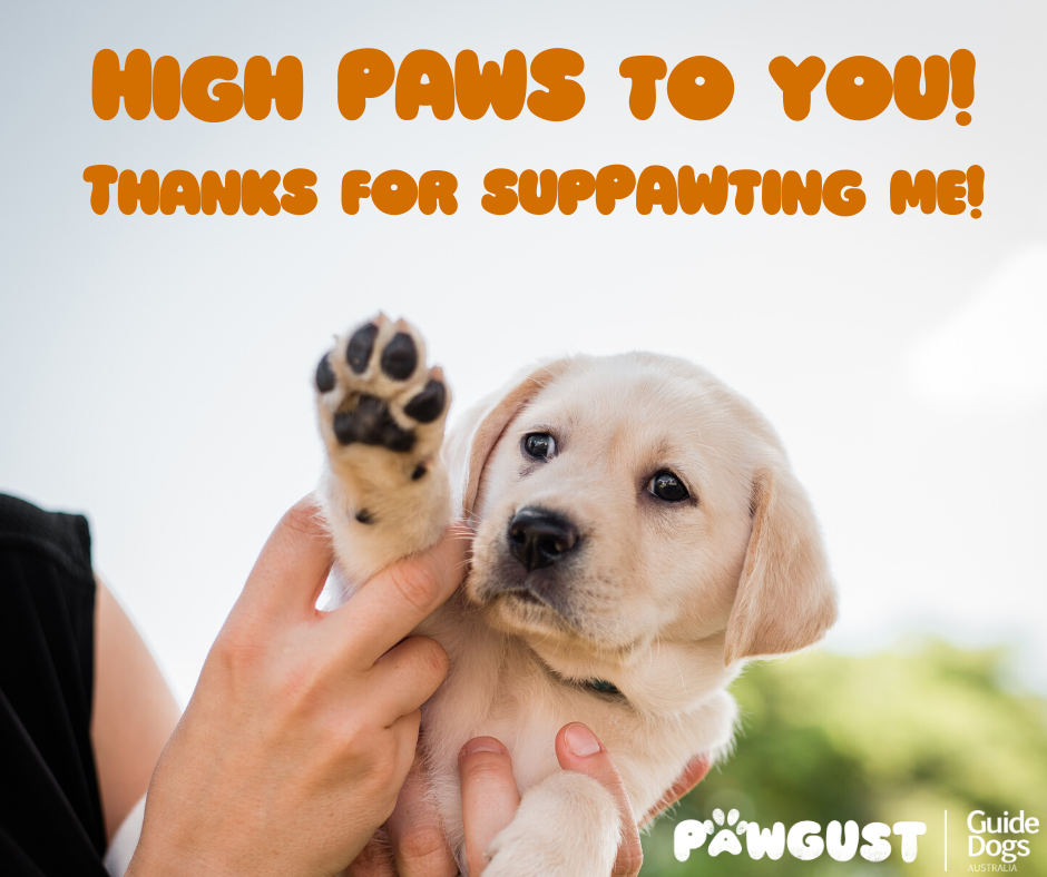 Thank you to donors