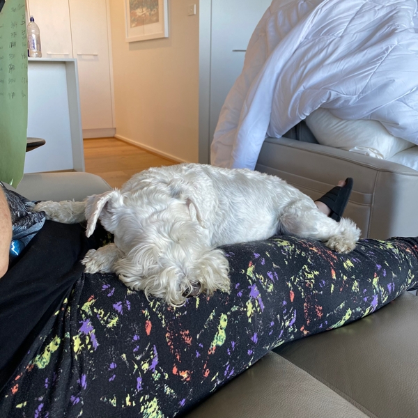 I walked 9kms today and it’s time for a nap!