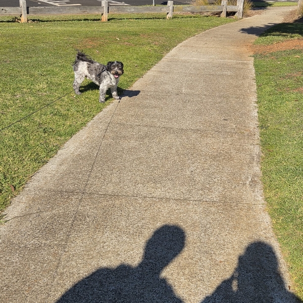 Sunday walkies with mum and dad