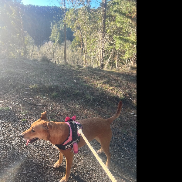 Day 2 and a walk up mt Franklin