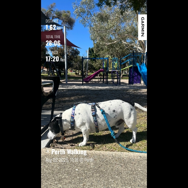 Walk 2