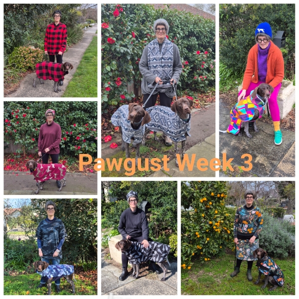 Pawgust Week 3