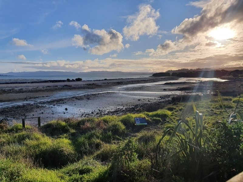 A view of the beach at Ambury Regional Park