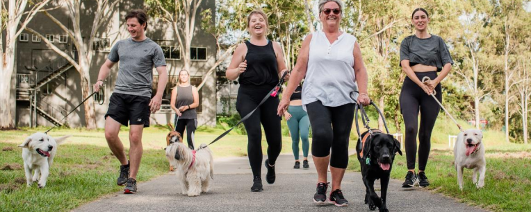 How to Log your walk or run