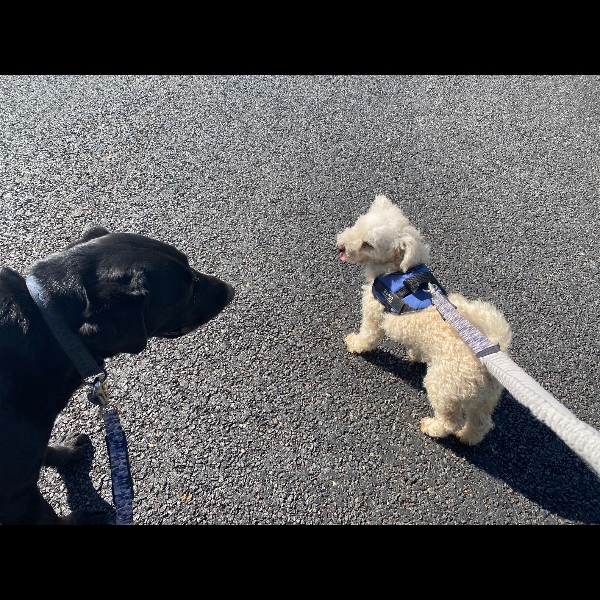 Day 2