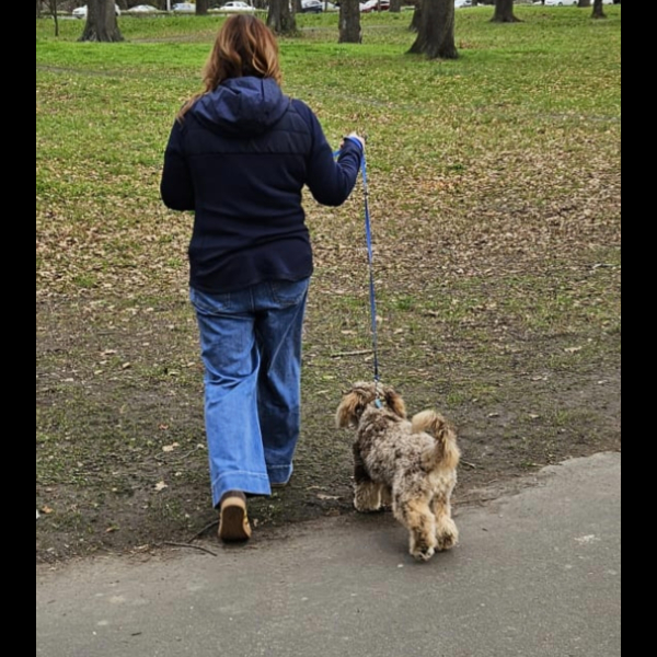 Hagley Walking