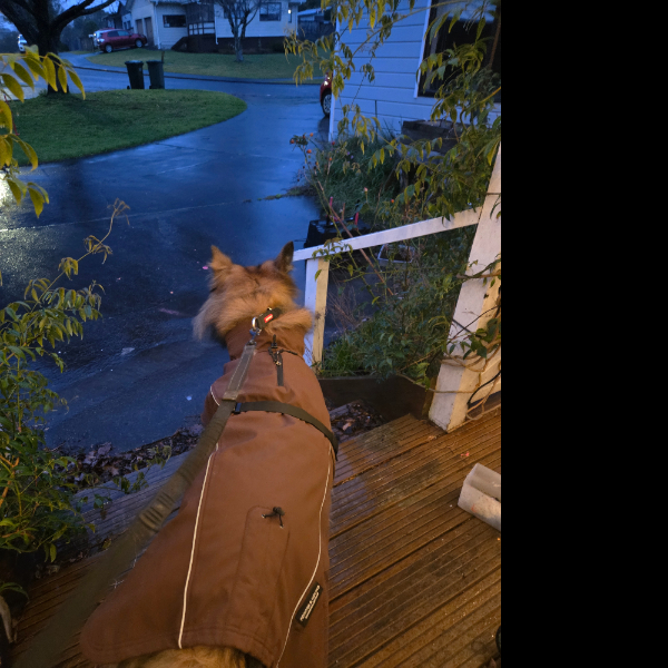 You want me to go out there!?