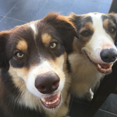 Broncs and Tilly