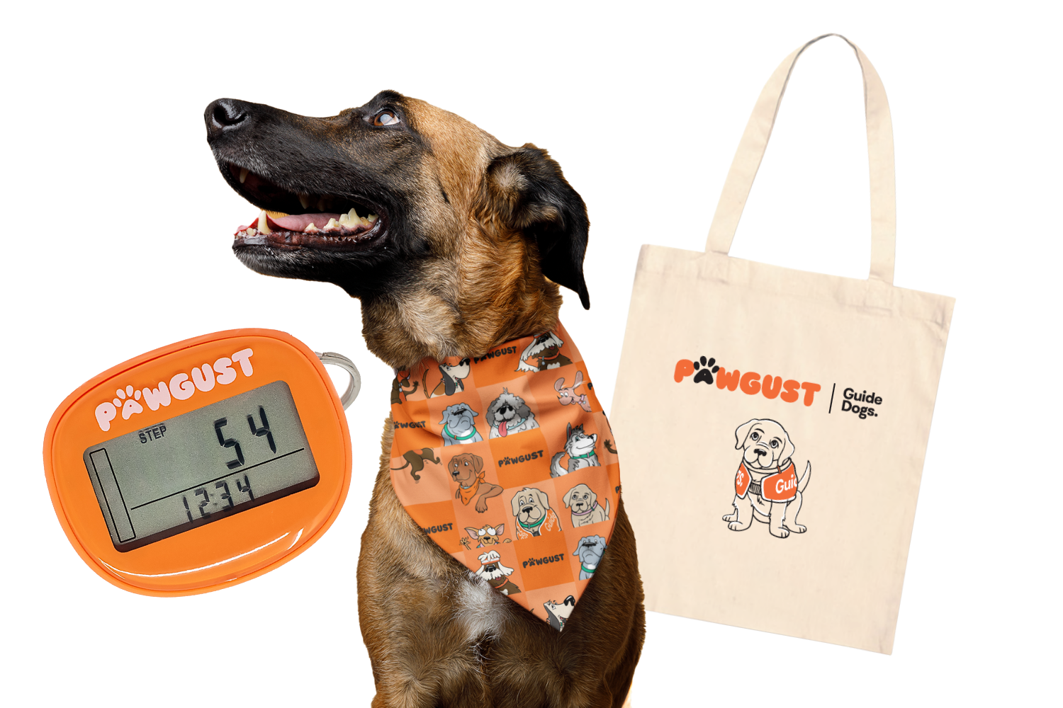 PAWdometer, dog bandana, tote bag