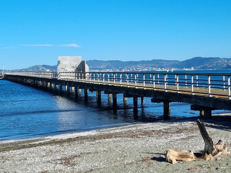 Petone Foreshore on a sunny day. Image shows a pier over a body of blue water on a sunny day.