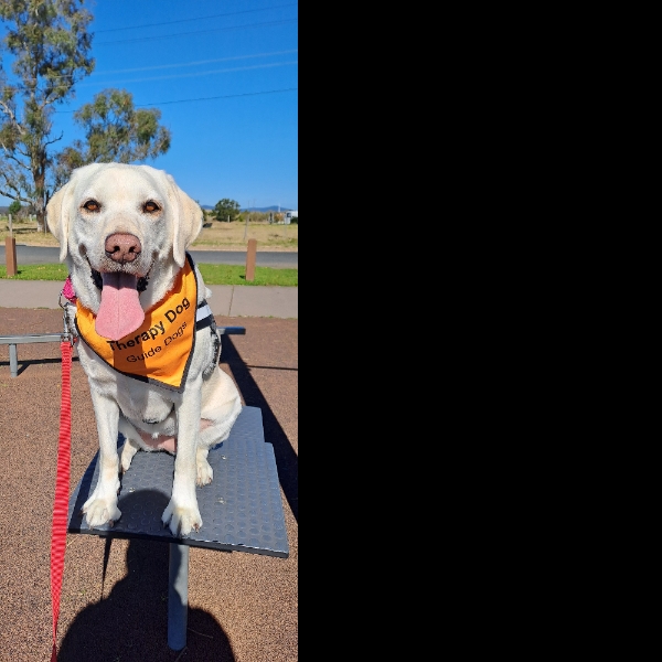 Wilma loves Maitland Park