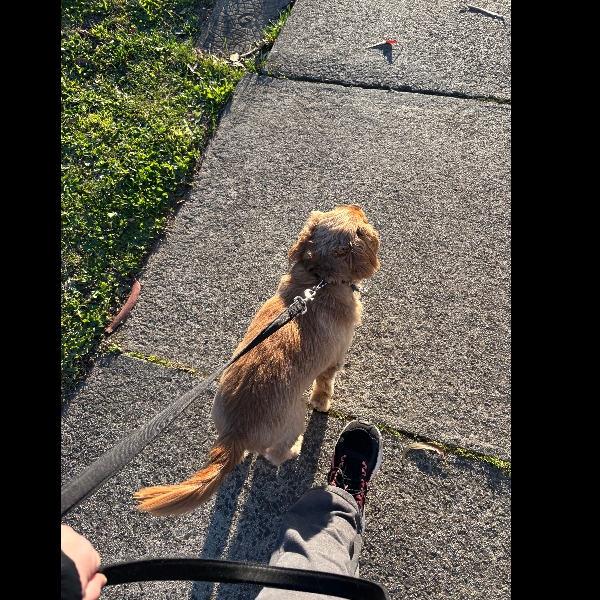 Sunday walk