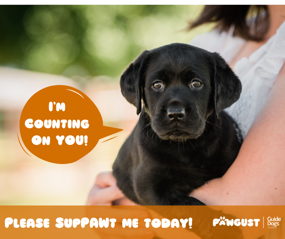 I'm counting on you!