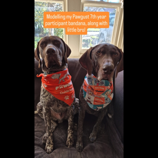7th Year Participant bandana
