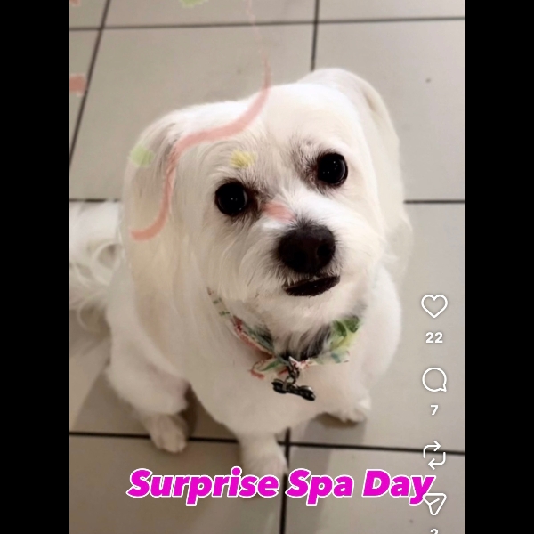 Day 7 Spa Day