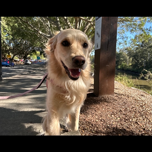 morning walk - 04/08