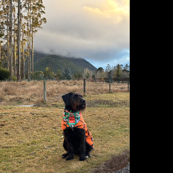 Day 3, morning walk!