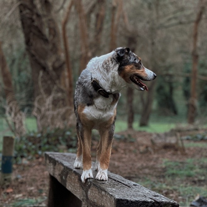 MacKenzie Richards-Fennell