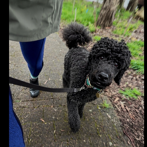 Rain or shin - we walk :)