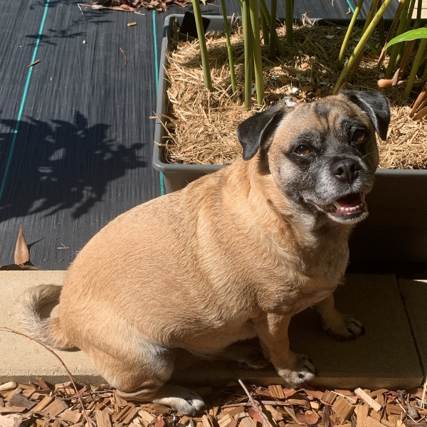 Enjoying the sunshine