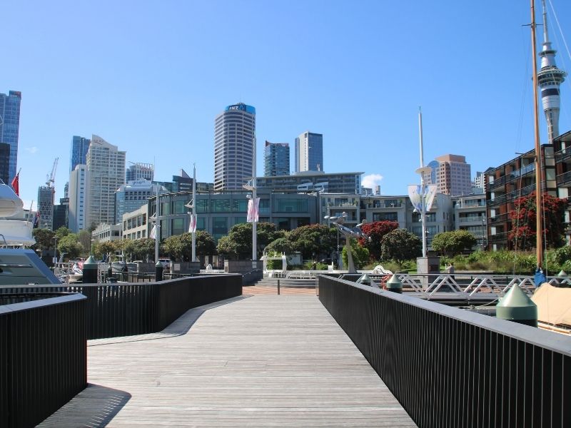 A view of Auckland city from a central city board walk.