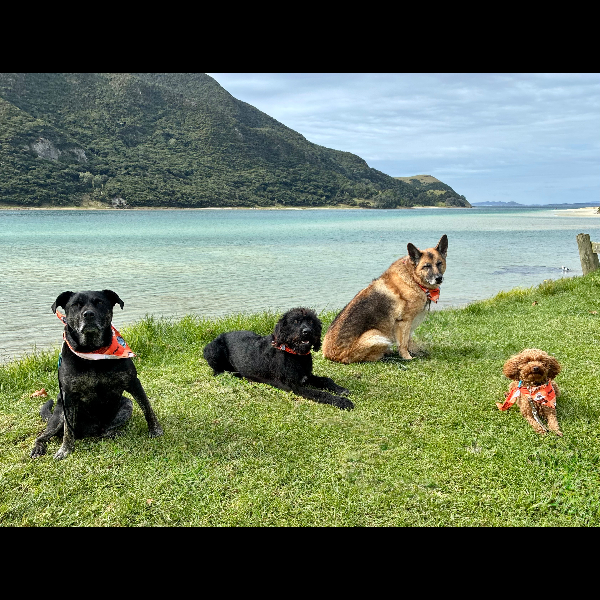 Houhora Heads