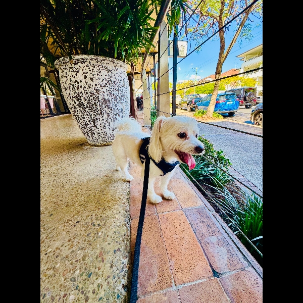 Out & about