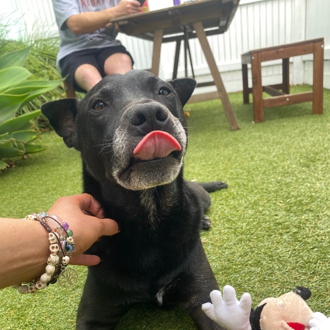 Taylor Kummerlowe-Smith