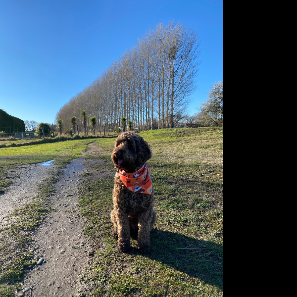 An unexpectedly beautiful Sunday morning at The Groins