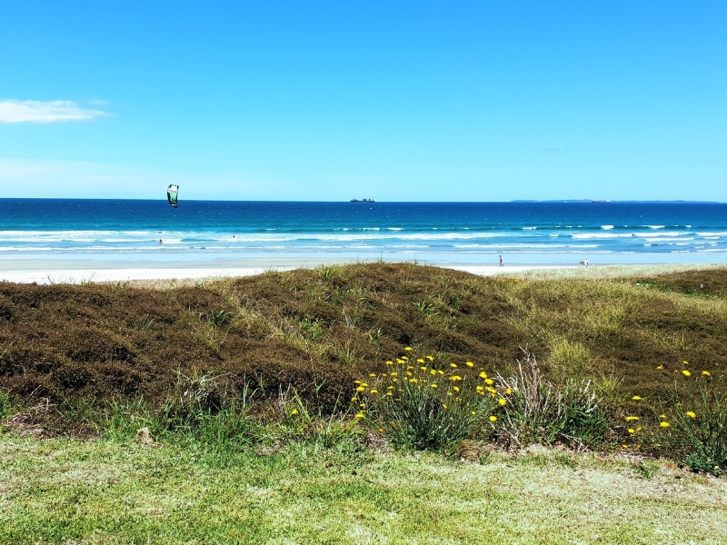An image of Ocean Beach in Mt Maunganui on a sunny day