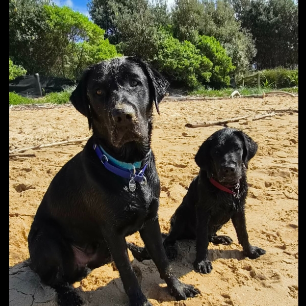Lenny and Isaac