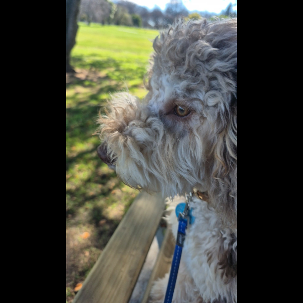Pensive Lenny!
