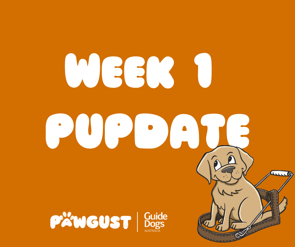Week 1 PUPDATE