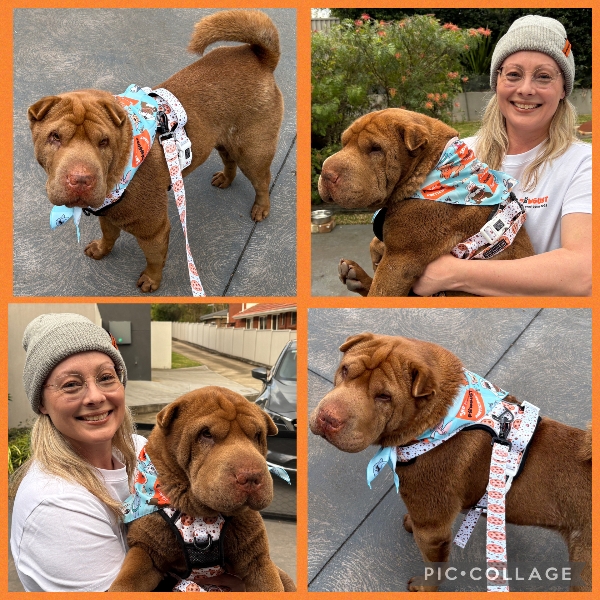 Day 1 of Pawgust
