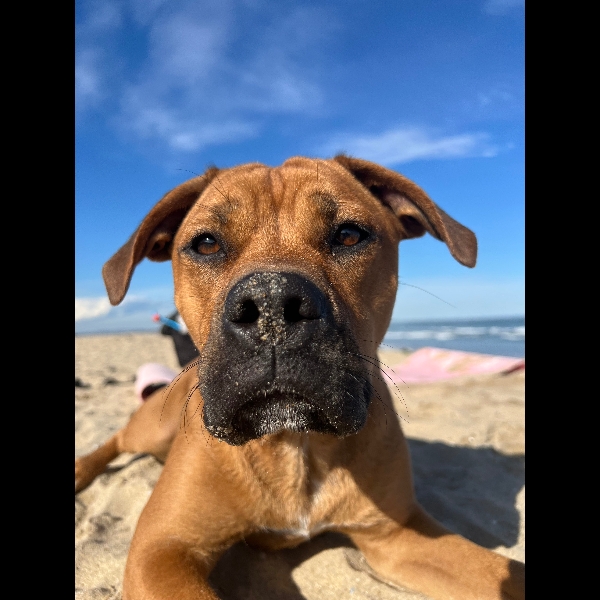 first beach trip